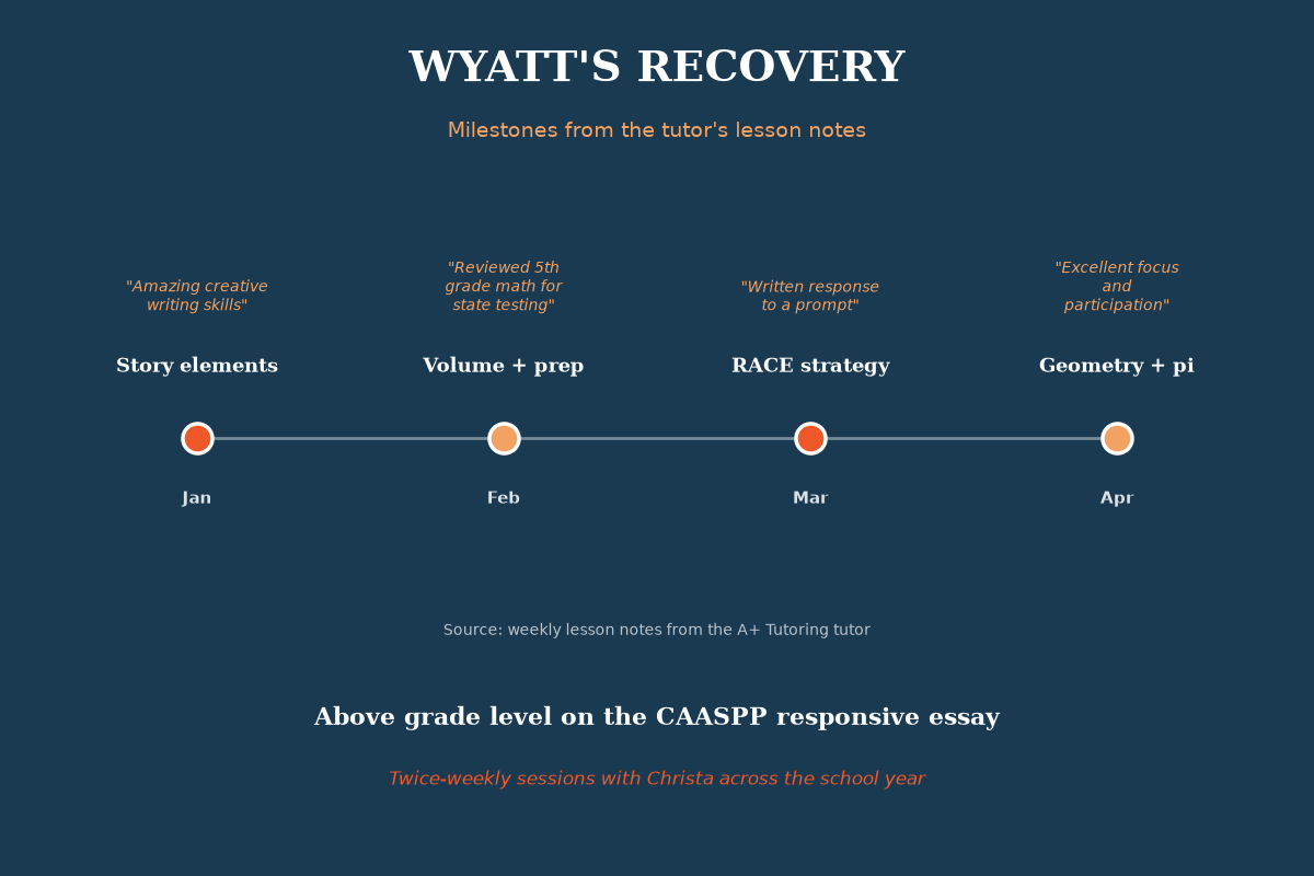 A+ Tutoring data visualization: topic graphic with logo
